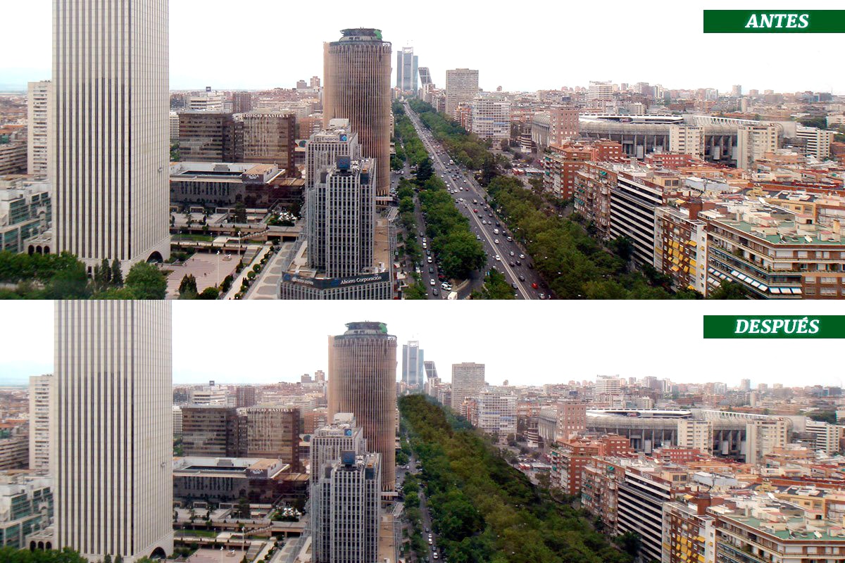 Antes y después del tratamiento vegetal del Paseo de la Castellana en Madrid