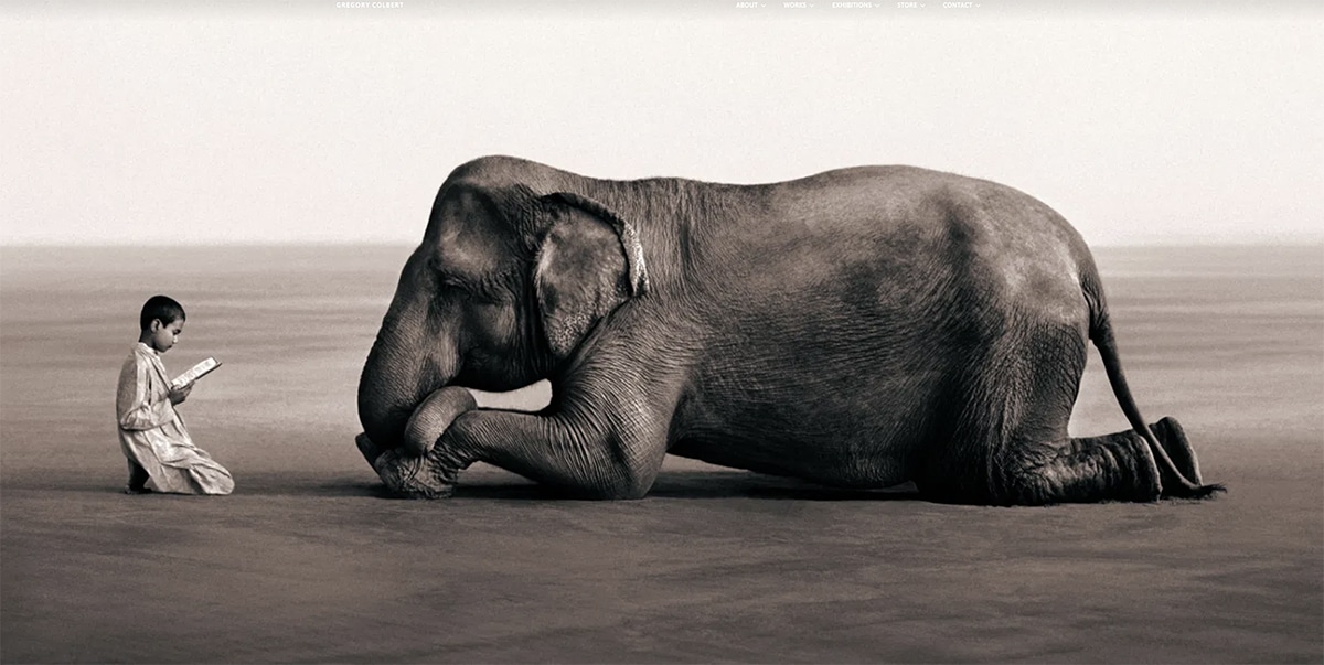 niño monge rezando de rodillas enfrente de elefante acostado boca abajo