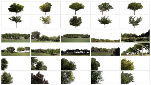 Collection of 30 video footages of trees with alpha channel included [4K]