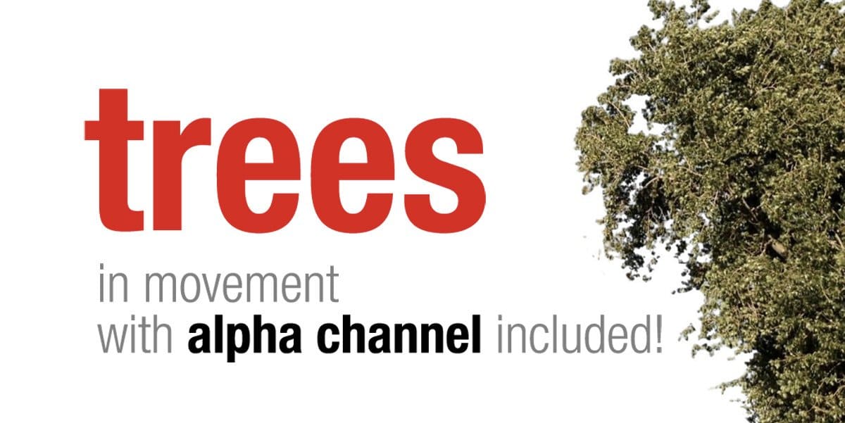 Footages of trees with alpha channel included