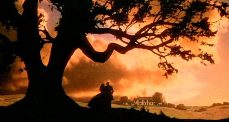 Gone with the wind scene