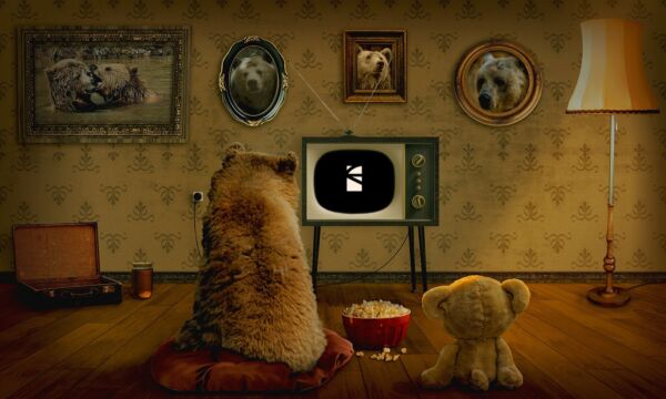 Two toy bears looking at TV GAYARRE infografia logo